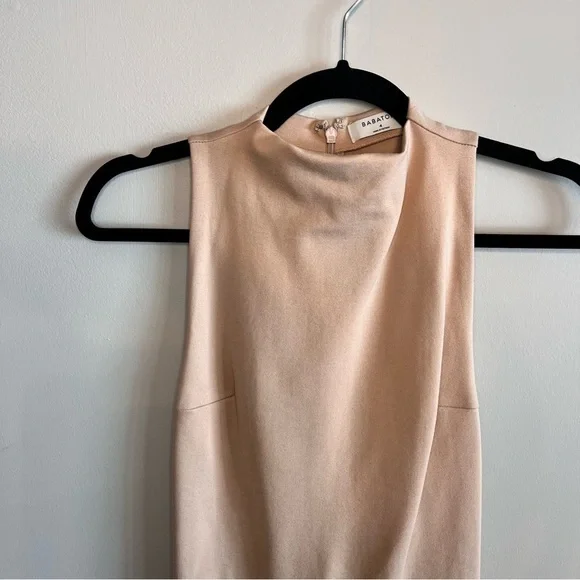 Aritzia Babaton Matheson Sleeveless Bodycon Dress 4 - Picture 5 of 10